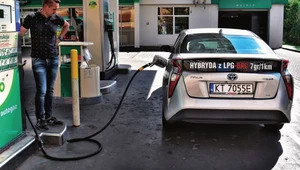 Toyota Prius... na gaz. Czy opłaca się montować instalację LPG w hybrydzie?