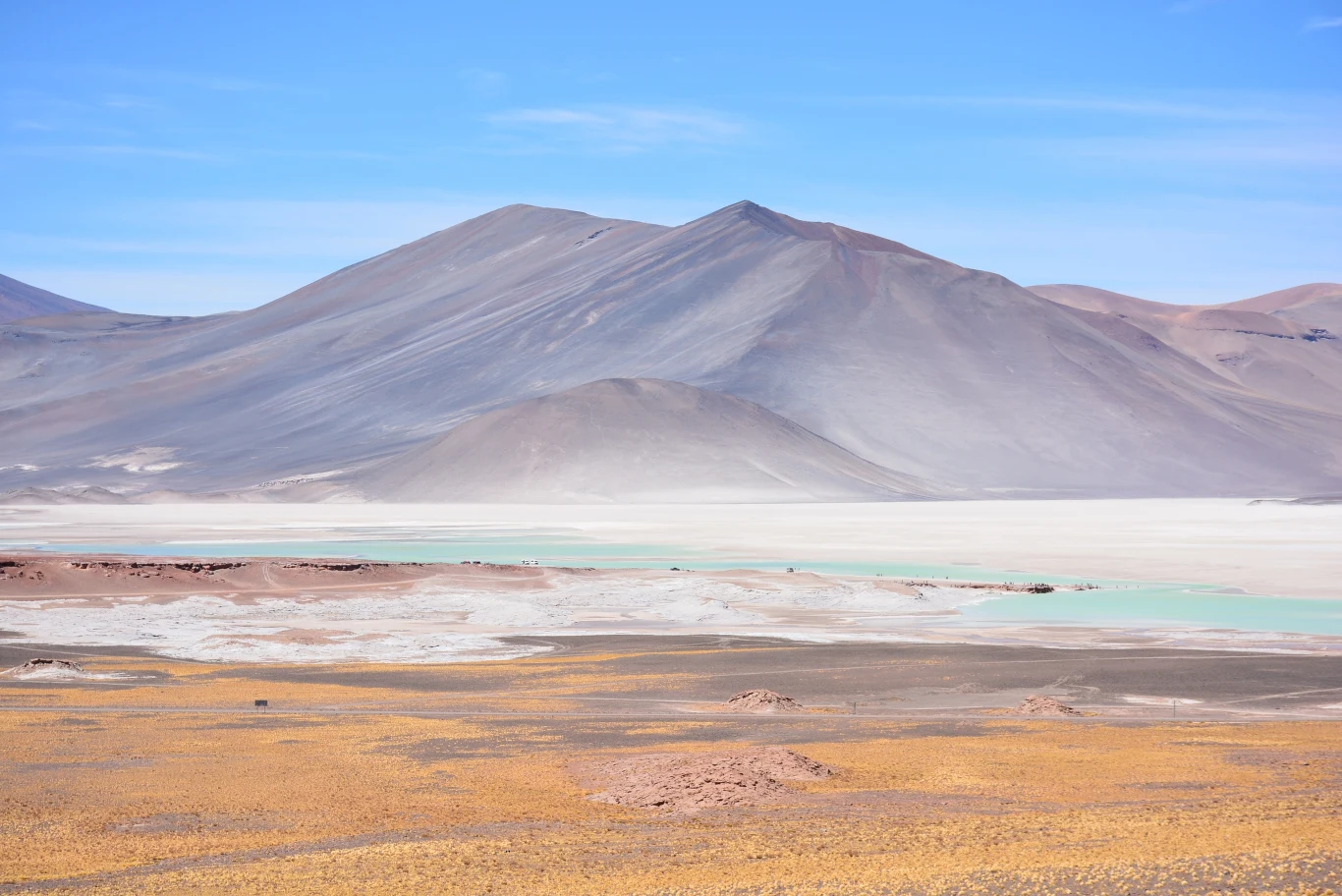Na pustyni Atakama nie było deszczu od 500 lat Na pustyni Atakama nie było deszczu od 500 lat