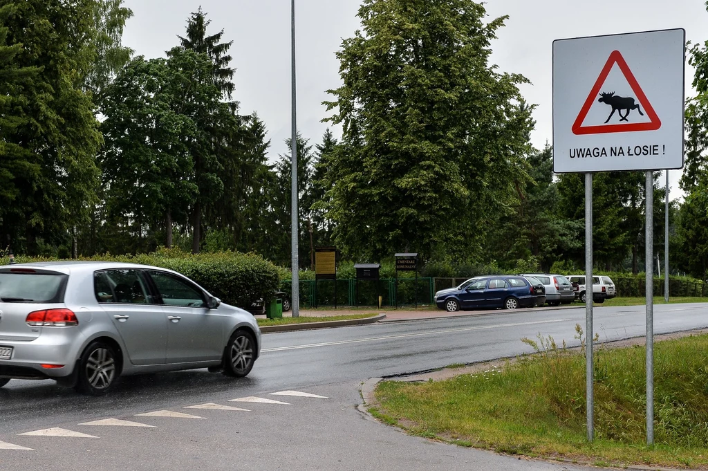 Zagrożenie dla ludzi niosą duże zwierzęta