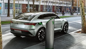 Pierwsza elektryczna Skoda już za rok