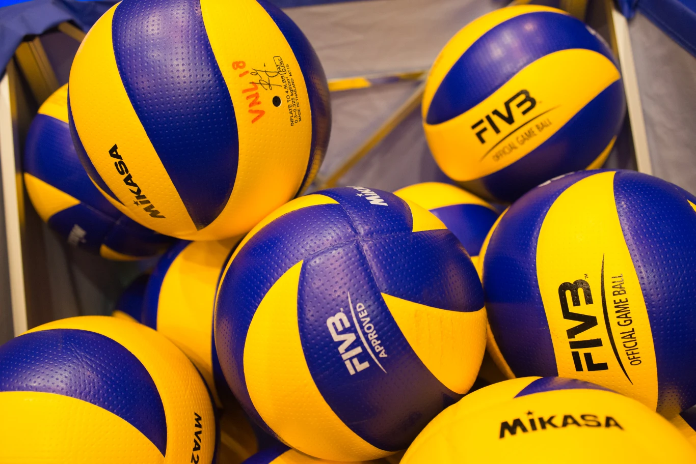 Siatkówka Siatkówka