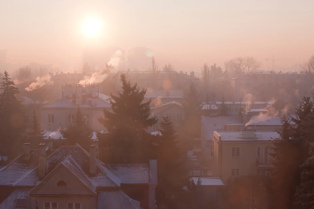 Według różnych szacunków w Polsce smog przyczynia się do przedwczesnej śmierci 30-46 tys. osób rocznie