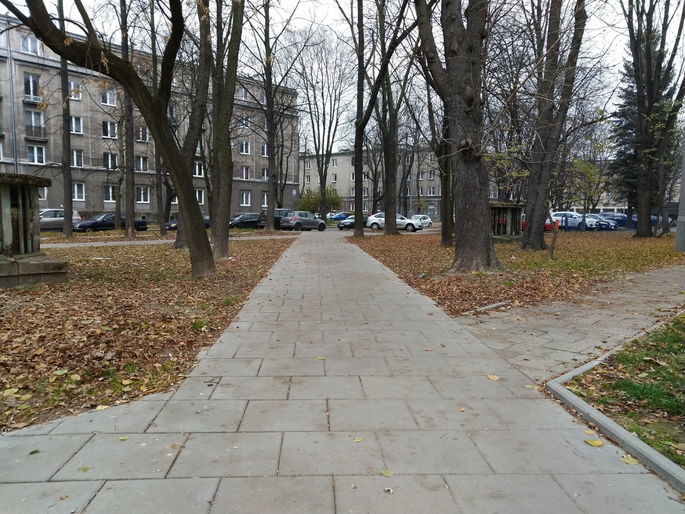 Przykładowe zdjęcie wykonane Nokią 7.1