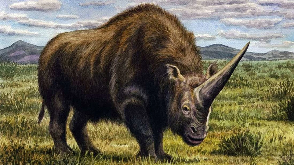 Tak mógł wyglądać Elasmotherium sibiricum