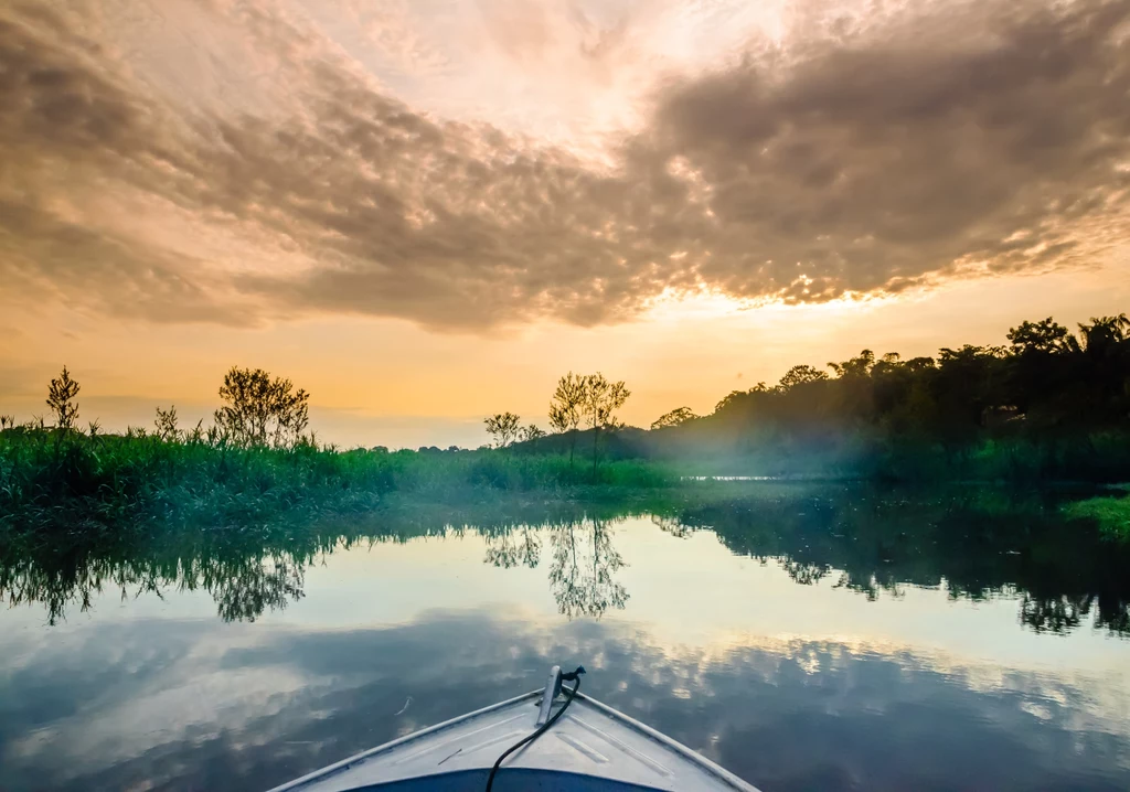 Co roku ubywa coraz więcej Amazonii