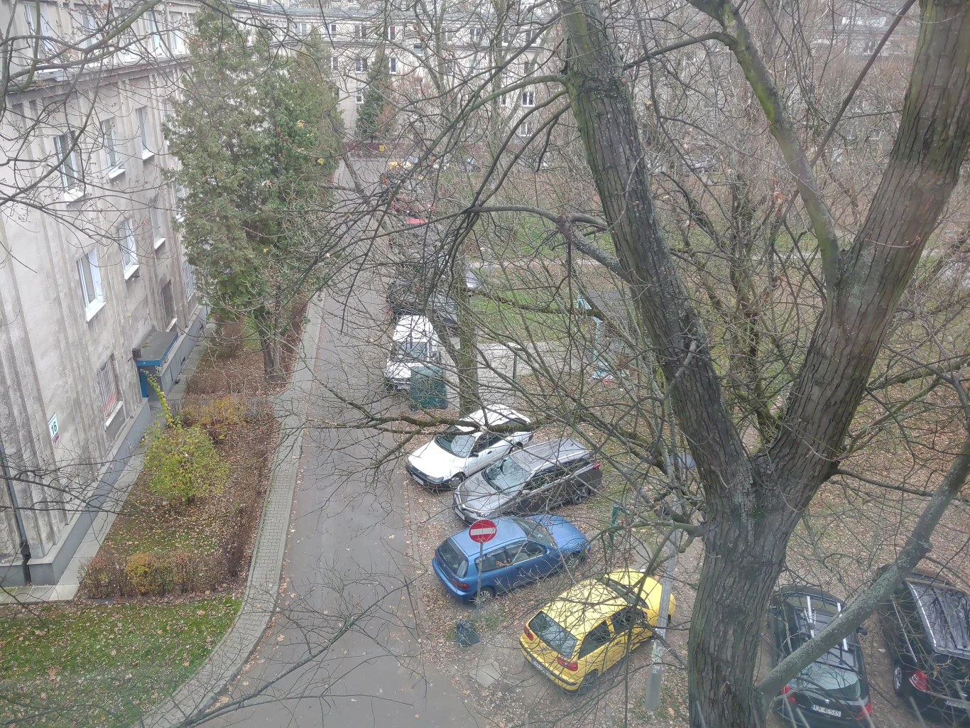 Zdjęcie wykonane Asus ROG Phone 