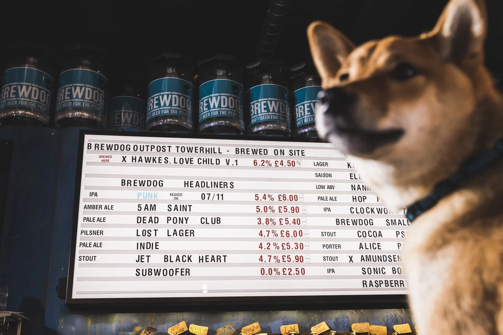 Subwoofer IPA - pierwsze piwo dla psów na bazie normalnego piwa