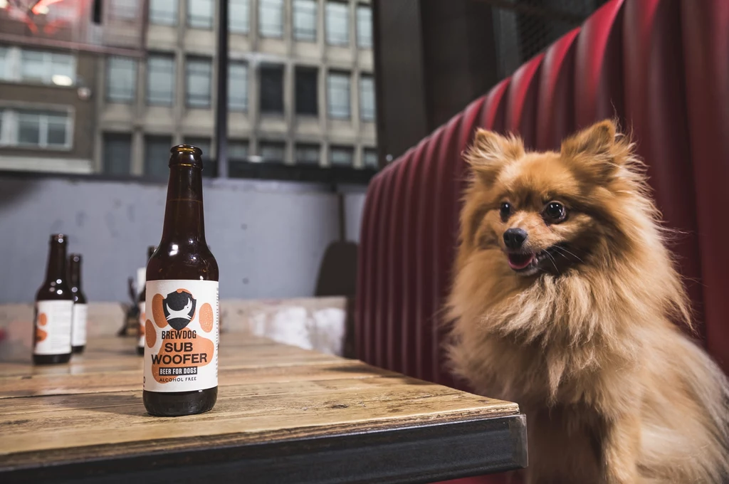 Subwoofer IPA - pierwsze piwo dla psów na bazie normalnego piwa