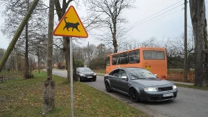 Mieszkańcy wsi postawili przy drodze nietypowy znak