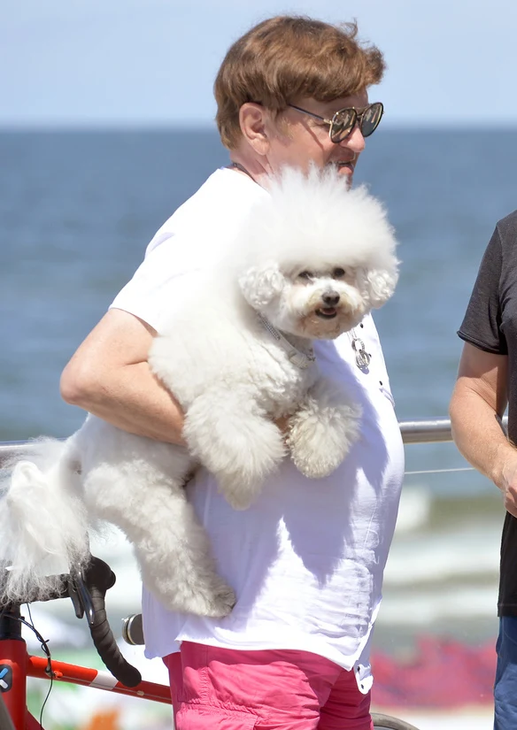 Bohdan Gadomski Bohdan Gadomski