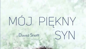 Mój piękny syn, David Sheff 