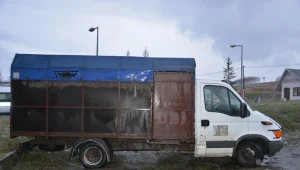 Zwierzęta przewożono w ekstremalnie trudnych dla nich warunkach