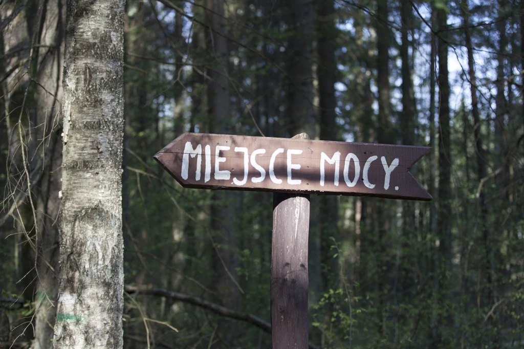 Białowieskie miejsce mocy ukryte jest głęboko w lesie. Turystów doprowadzą do niego liczne drogowskazy
