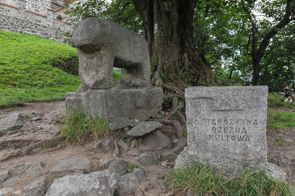 Niedźwiedź - jedna ze starożytnych rzeźb na szczycie góry Ślęży