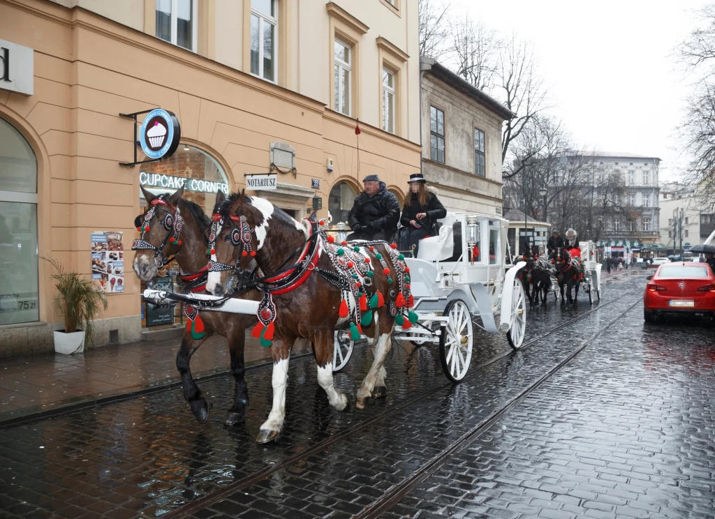 Jean Reno w Krakowie, Fot. Tomasz Jagodzinski / ArtService / FORUM