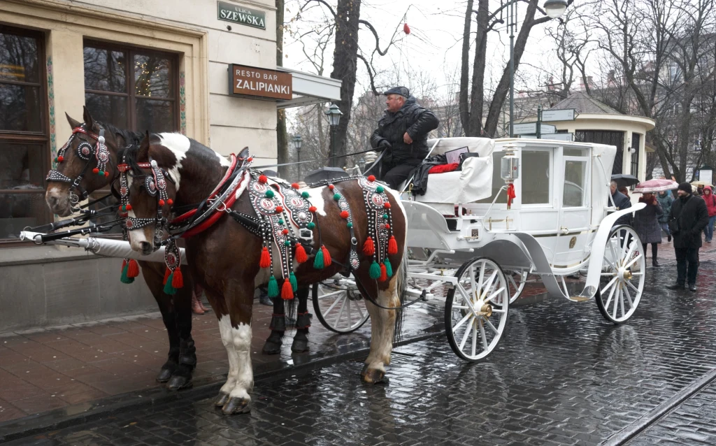 Jean Reno w Krakowie, Fot. Tomasz Jagodzinski / ArtService / FORUM