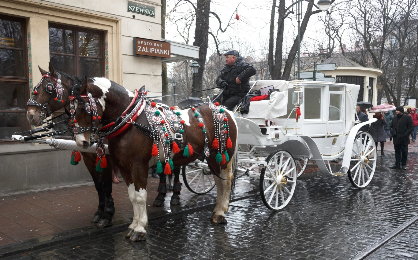 Jean Reno w Krakowie, Fot. Tomasz Jagodzinski / ArtService / FORUM