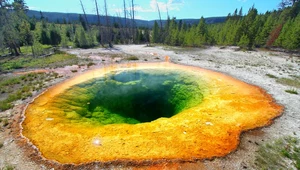 Największy gejzer świata w Yellowstone pobił rekord aktywności