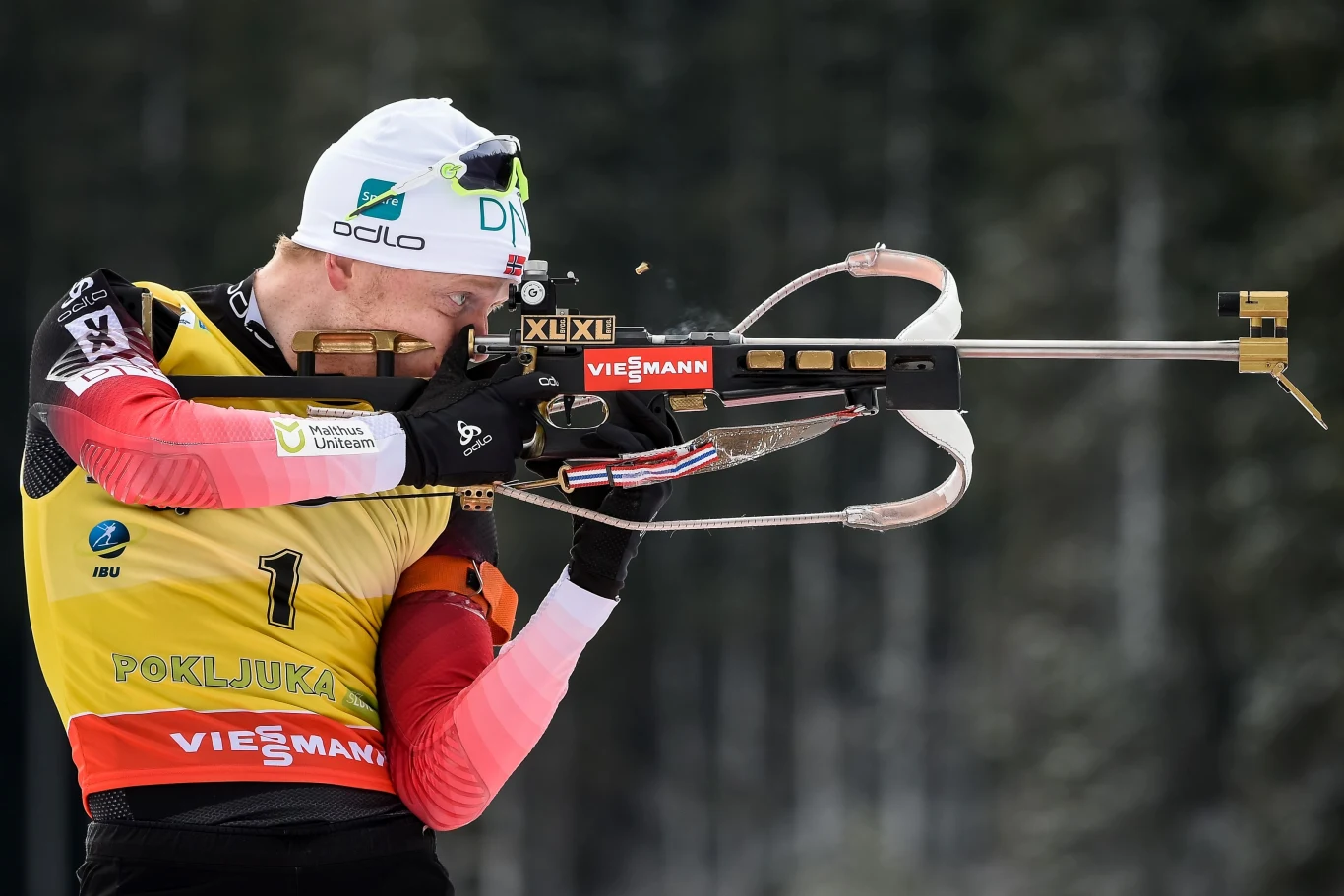 Johannes Thingnes Boe