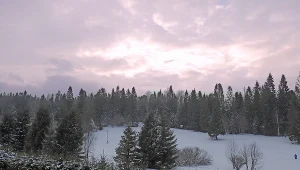 Śnieg w Bieszczadach (arch.)