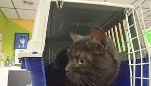 Tak wygląda pasażer, który z Lublina poleciał do Warszawy