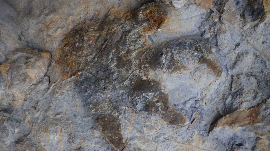 W Wielkiej Brytanii paleontolodzy odkryli prawdziwy skarb