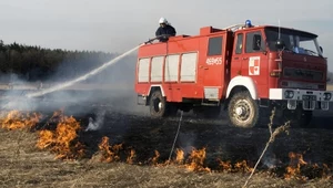 Star 244: Legenda polskich dróg i bezdroży