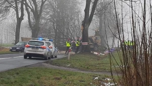 Wypadek amerykańskiej ciężarówki wojskowej. Są ranni 