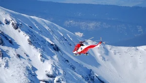 (zdjęcie ilustracyjne)