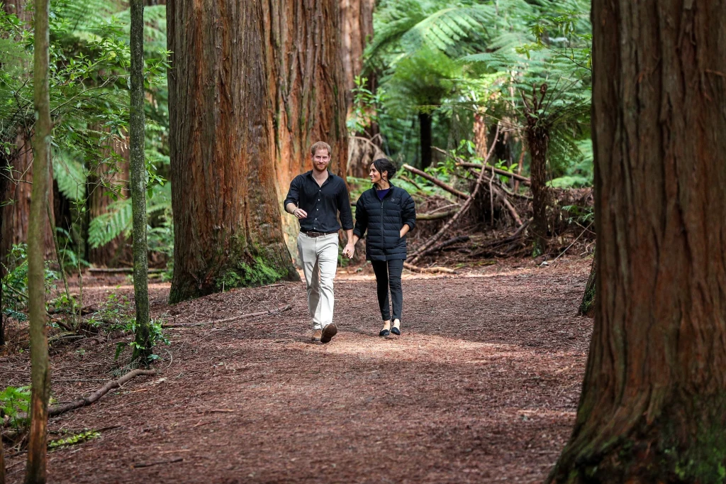 Książę Harry i księżna Meghan 