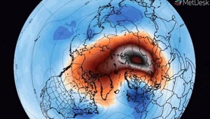 W Europie zagości na stałe zimowa aura z mrozem i obfitymi opadami śniegu?