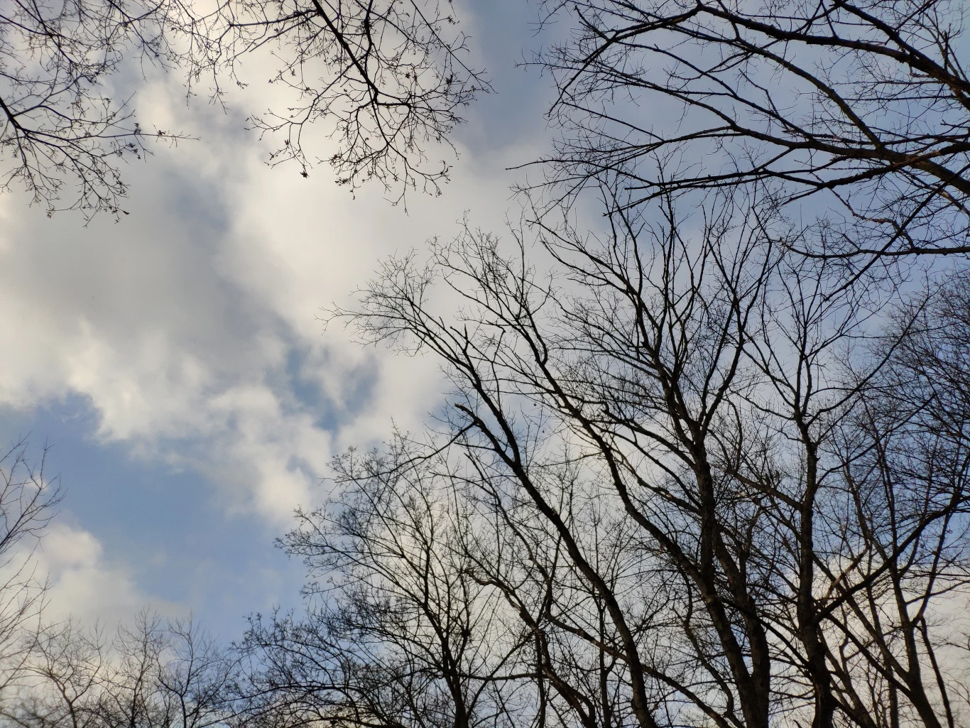 Przykładowe zdjęcie wykonane Xiaomi Mi 8 Pro