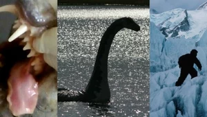 Chupacabra, Nessie, Yeti: Polowanie na tajemnicze potwory