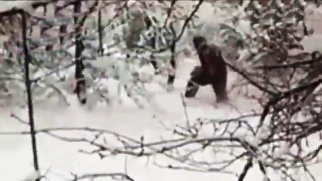 Indianie nazwali go Sasquatch, natomiast w całych Stanach Zjednoczonych jest znany jako Big Foot, czyli Wielka Stopa. Czy to kuzyn słynnego yeti?