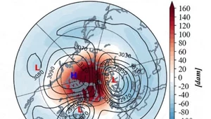 Podział wiru polarnego nad Arktyką sprowadził srogą zimę do Ameryki Północnej i Europy