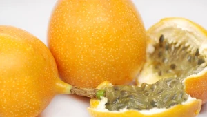 Egzotyczne owoce: Fioletowa i żółta marakuja