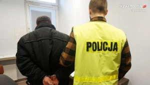 Na 3 miesiące trafił do aresztu 29-latek zatrzymany za przestępstwa seksualne w Częstochowie