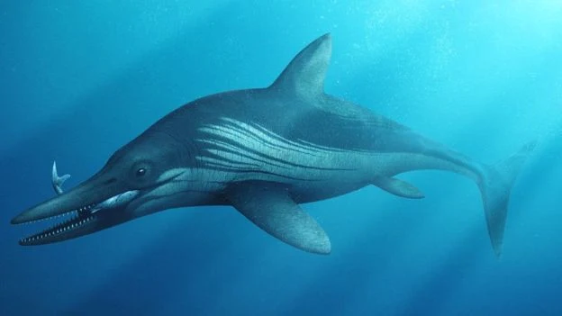 Tak mógł wyglądać Protoichthyosaurus prostaxalis Tak mógł wyglądać Protoichthyosaurus prostaxalis