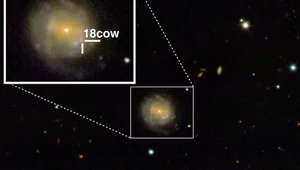 Astronomowie zaobserwowali narodziny młodej gwiazdy neutronowej lub czarnej dziury