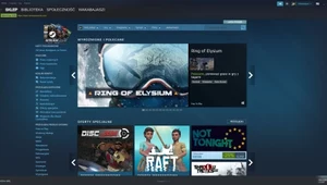 Steam