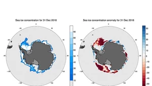 Pokrywa antarktycznego lodu morskiego osiągnęła rekordowo niski poziom