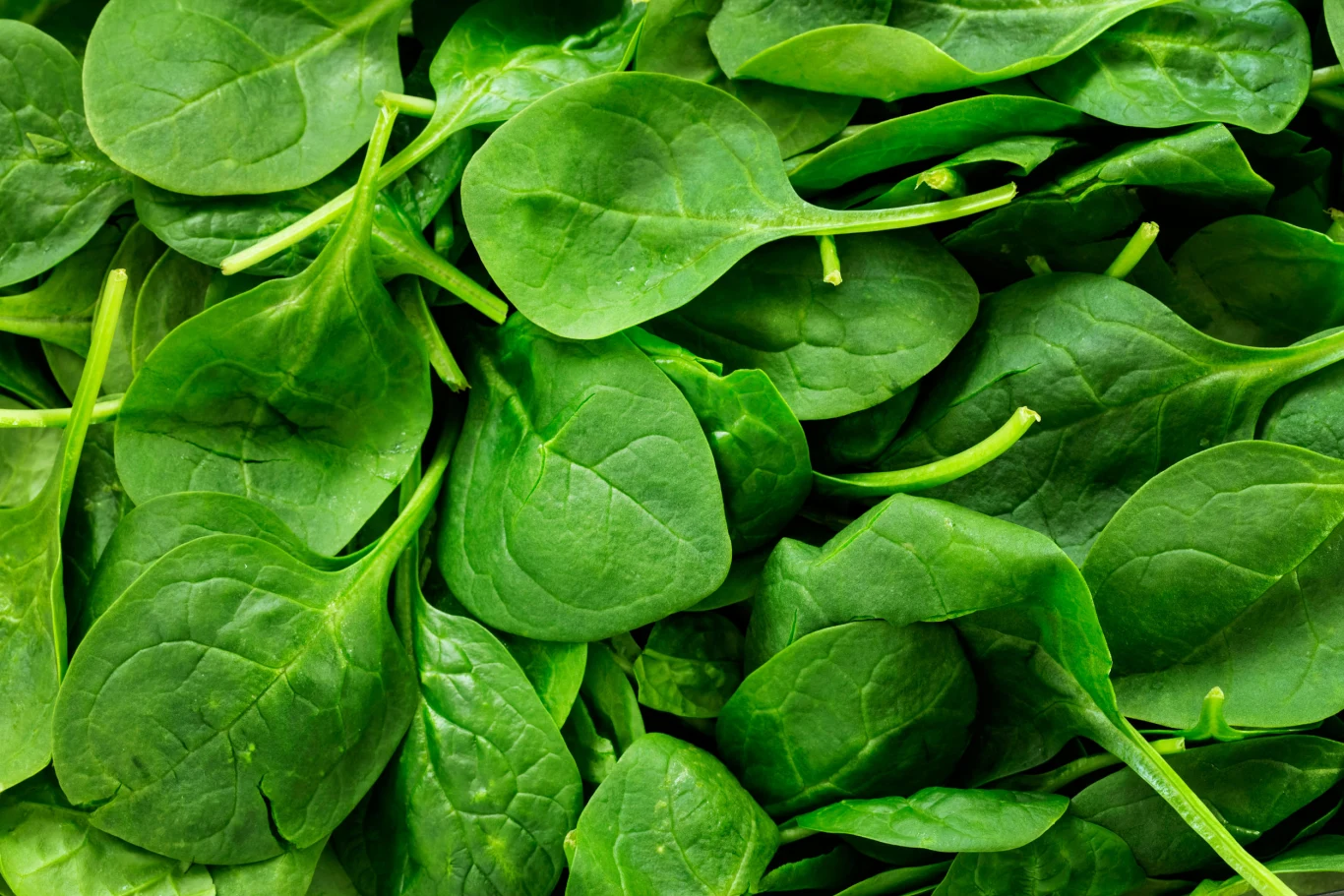 Szpinak w cieście wielkanocnym? Okazuje się, że to świetny pomysł Szpinak w cieście wielkanocnym? Okazuje się, że to świetny pomysł