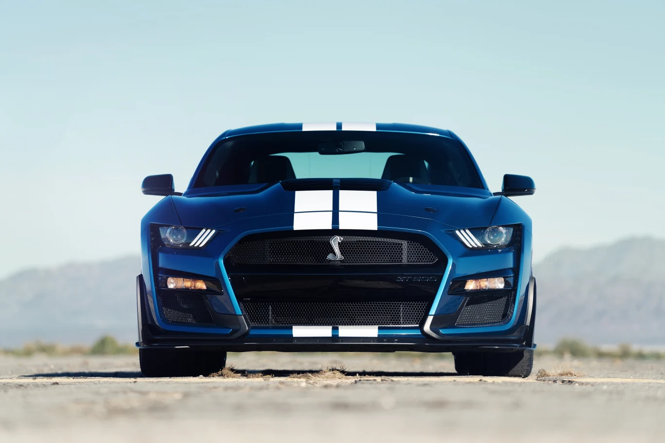 Ford Mustang Shelby GT500
