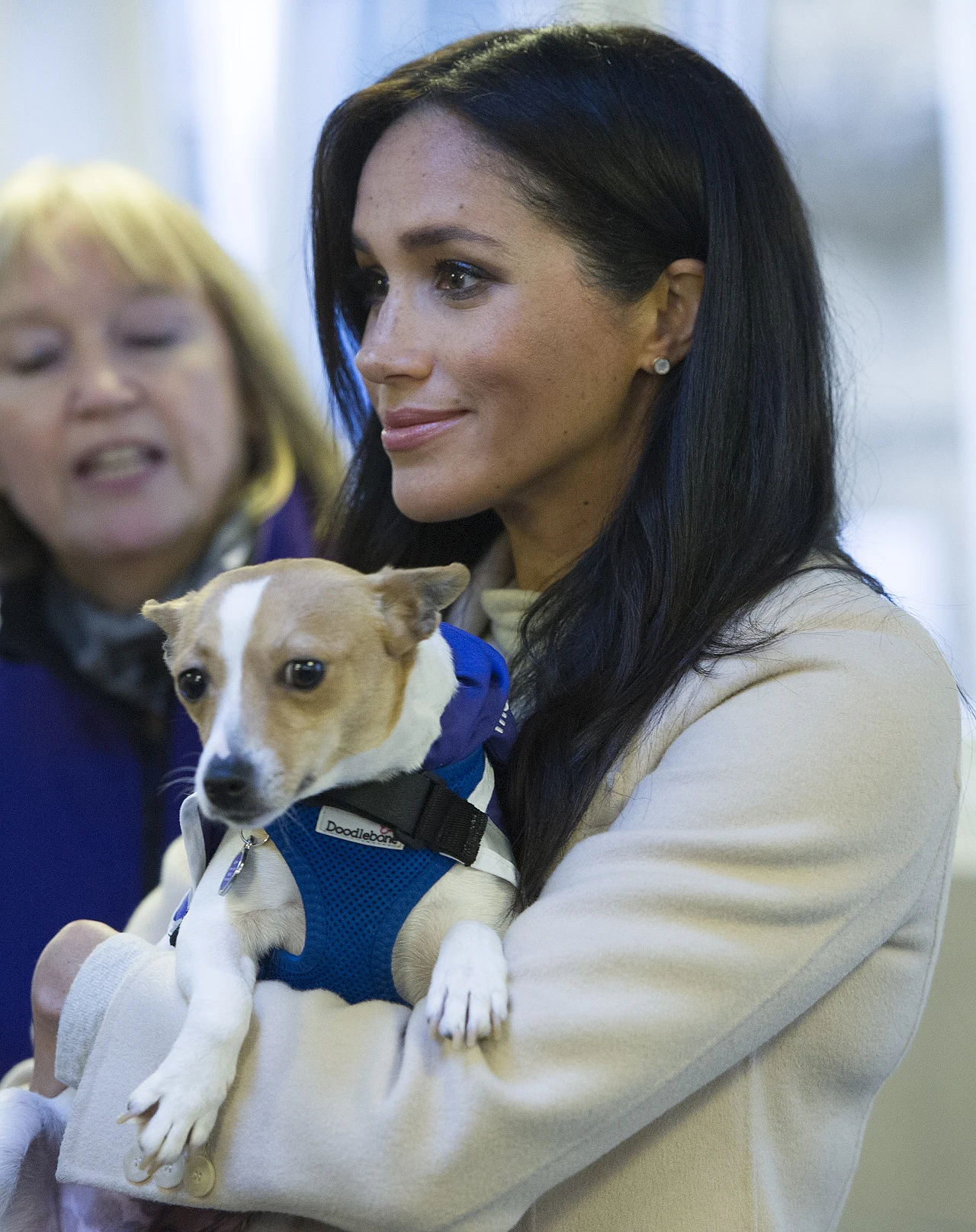 Meghan Markle  Meghan Markle
