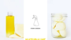 Naturalne środki czyszczące, Fern Green