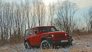 Jeep Wrangler Rubicon