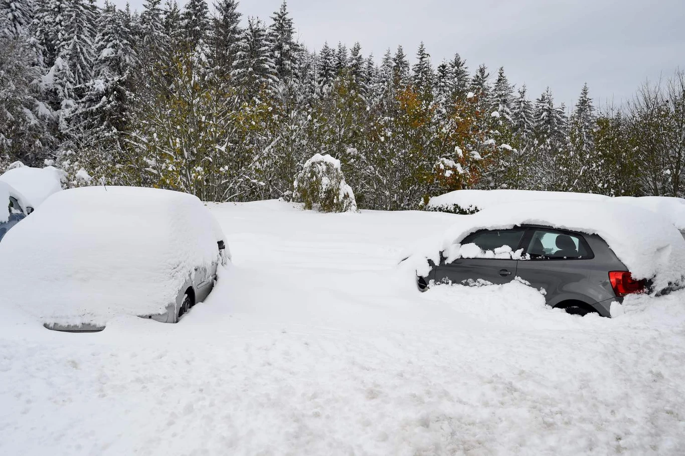 Meteorolodzy IMGW zauważają jednak, że tegoroczny układ warunków sprzyja scenariuszowi chłodniejszej, bardziej zimowej aury z większą szansą na śnieg niż w ostatnich latach.