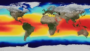 Zmieni się kolor oceanów?