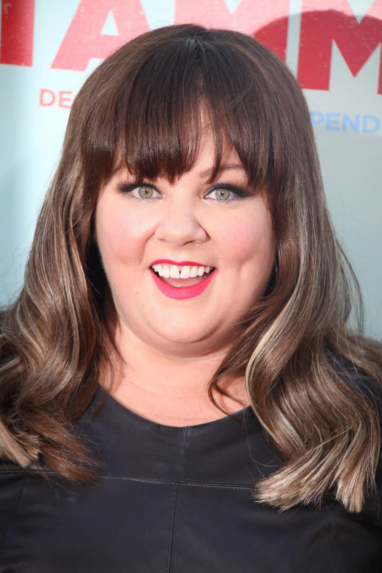 Melissa McCarthy w 2014 roku Melissa McCarthy w 2014 roku