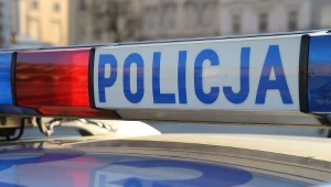 policja